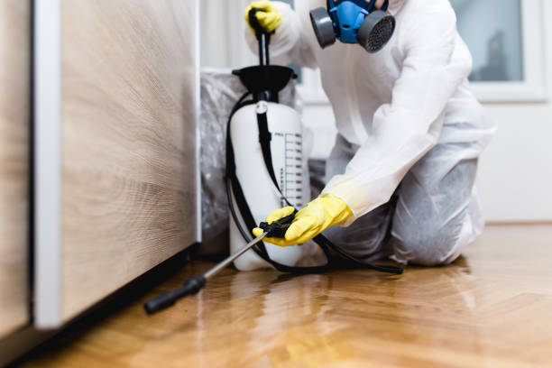Best Pest Control for Restaurants  in Cuba, MO