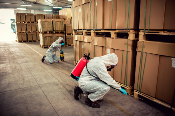 Best Best Pest Control Companies  in Cuba, MO