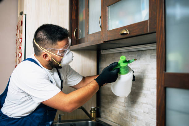 Best Pest Removal Services  in Cuba, MO