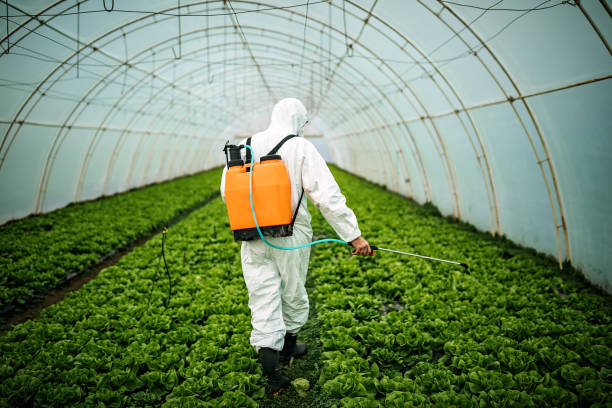 Best Mosquito Control Services  in Cuba, MO