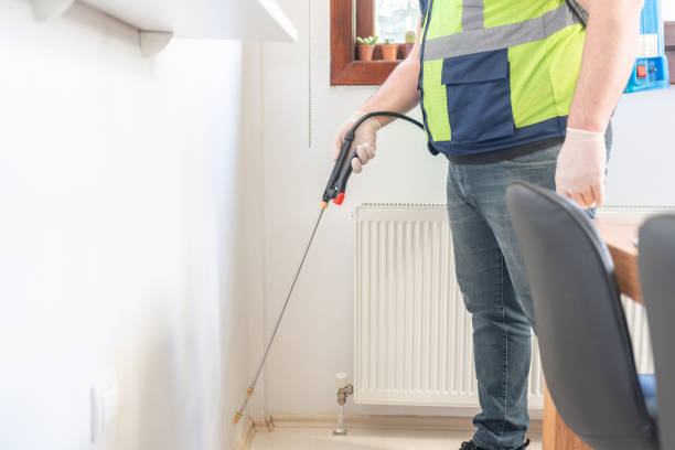 Best Termite Control Services  in Cuba, MO