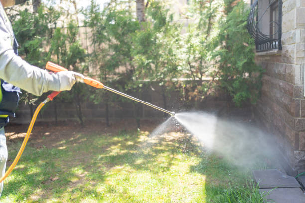 Professional Pest Control in Cuba, MO