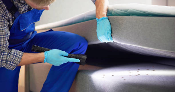 Best Pest Prevention Services  in Cuba, MO