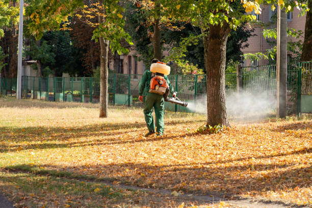 Best Affordable Pest Control Services  in Cuba, MO