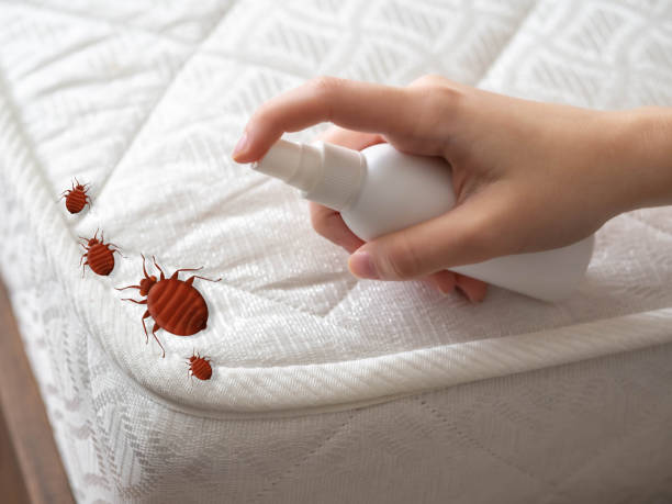 Best Pest Prevention Services  in Cuba, MO