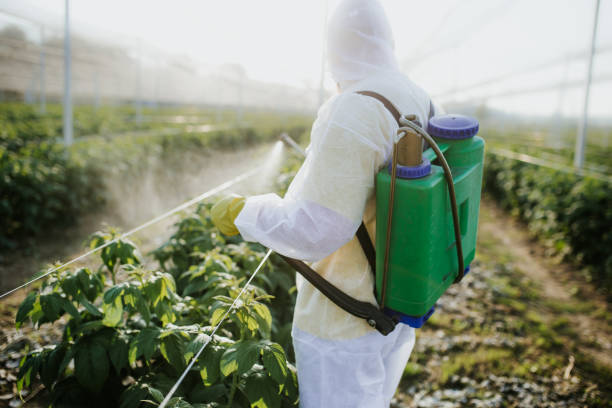 Pest Control for Restaurants in Cuba, MO